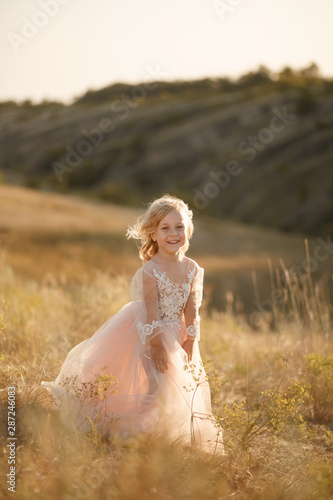 Portrait of a beautiful little princess girl in a pink dress. Posing in a field at sunset