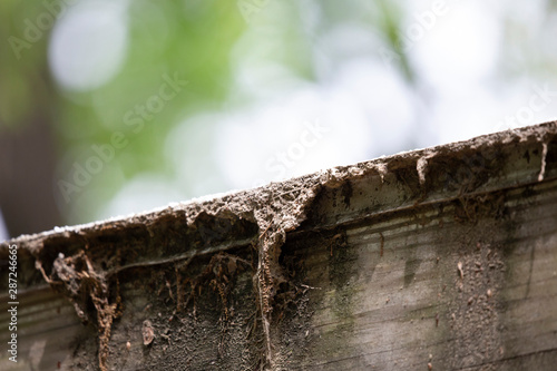 Flat Roof Facing Board photo