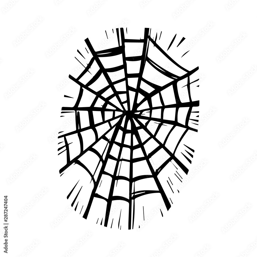 Woven spider web hand drawn monochrome illustration