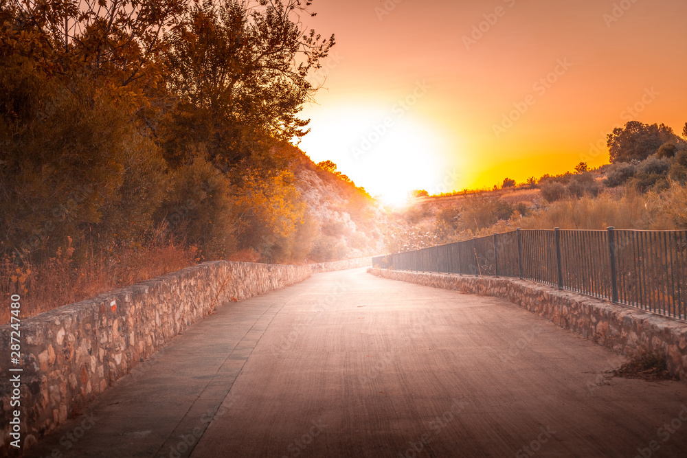 Camino con puesta de sol rural