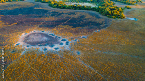 Aerial view of a field of grass covered with animal tracks and a dried-up waterhole at dawn in the Okavango Delta in Botswana