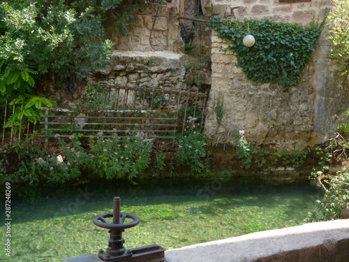 Naturaleza invadiendo pueblo