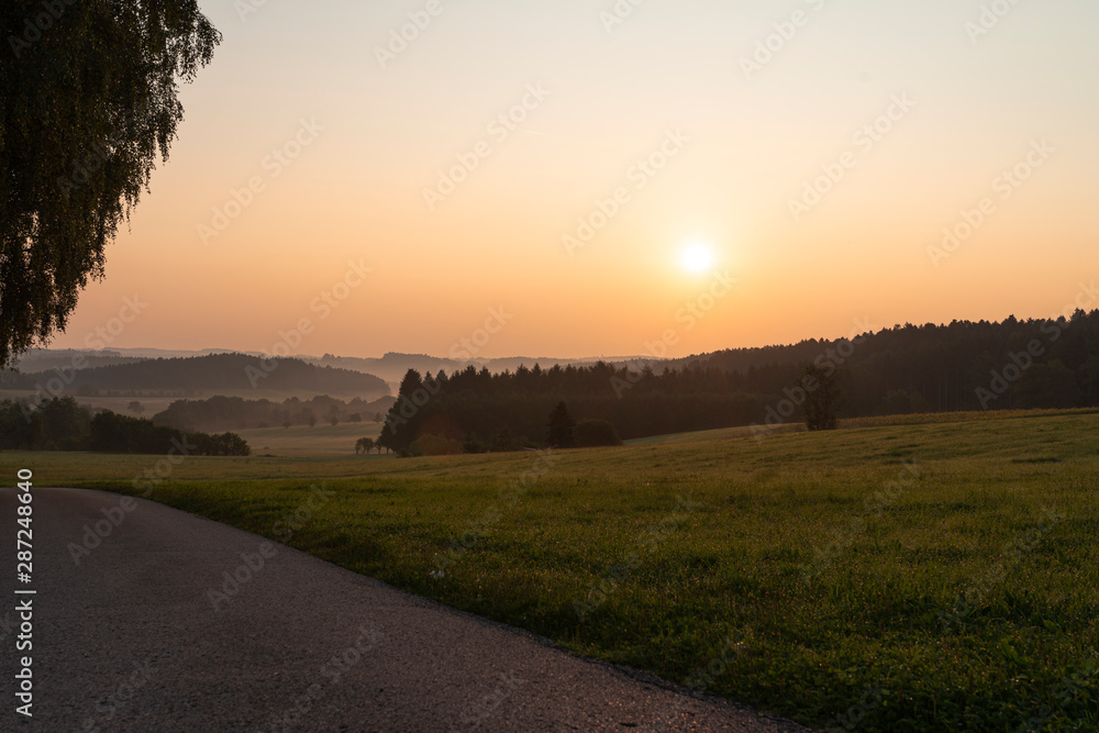Fototapeta premium Schwarzwald