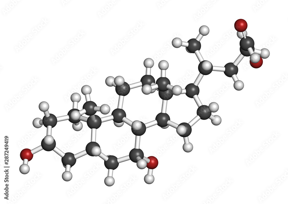 Chenodeoxycholic acid drug molecule. 3D rendering. Atoms are represented as spheres with conventional color coding: hydrogen (white), carbon (grey), oxygen (red).