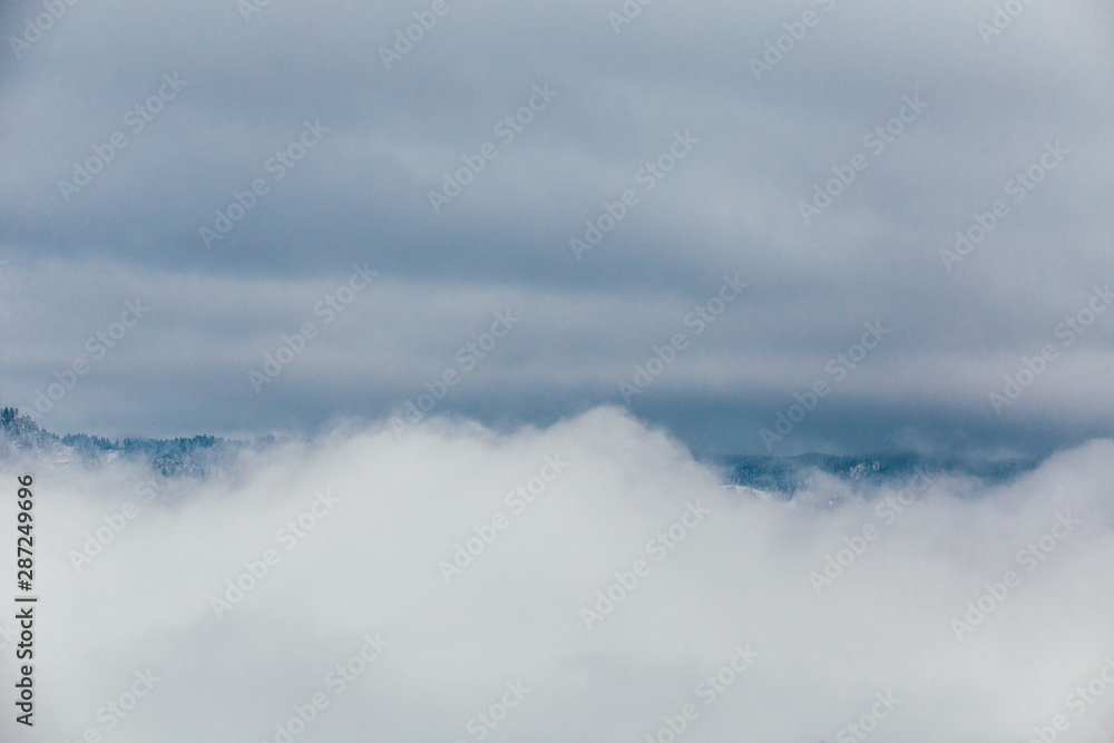 Obraz premium Winter postcard.