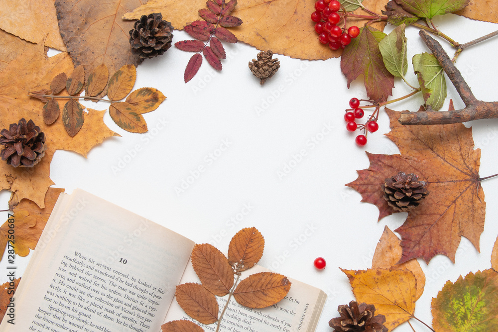 autumn yellow leaves and red berries of viburnum on a white table with a book top view copy space autumn yellow leaves and red berries of viburnum on a white table with a book top view copy space