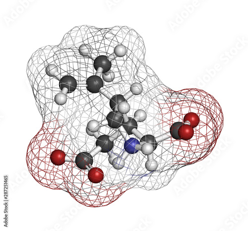 Kainic acid molecule. Direct agonist of the glutamic kainate receptors. 3D rendering. Atoms are represented as spheres with conventional color coding: hydrogen (white), carbon (grey), oxygen (red), et photo