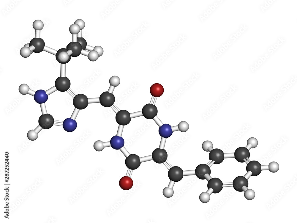 Plinabulin cancer drug molecule. 3D rendering. Atoms are represented as spheres with conventional color coding: hydrogen (white), carbon (grey), nitrogen (blue), oxygen (red). Plinabulin cancer drug molecule. 3D rendering. Atoms are represented as spheres with conventional color coding: hydrogen (white), carbon (grey), nitrogen (blue), oxygen (red).