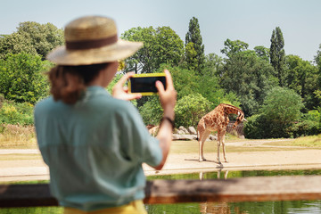 Happy asian zoology student girl taking photo on smartphone while giraffe drinking from lake