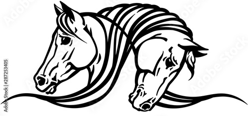 heads of two horses. Black and white logo, tattoo, emblem