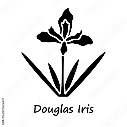 Douglas iris plant glyph icon. California blooming wildflower with name inscription. Garden flower. Iris douglasiana inflorescence. Silhouette symbol. Negative space. Vector isolated illustration