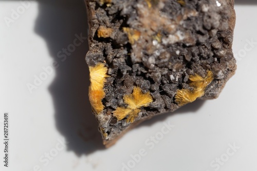 Fotografija Crystal needles of Uranophane, a uranium bearing mineral and ore