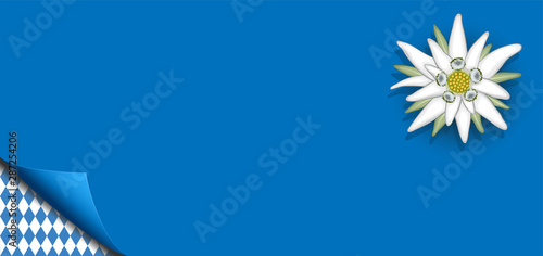 Banner Hintergrund, Papier mit Rautenmuster Ecke  und Edelweiss für Oktoberfest, Vektor Illustration Hintergrund