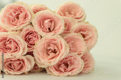 Beautiful bouquet of yellow roses on white background. Closeup. Selective focus. Love  Valentines day  romance  retro