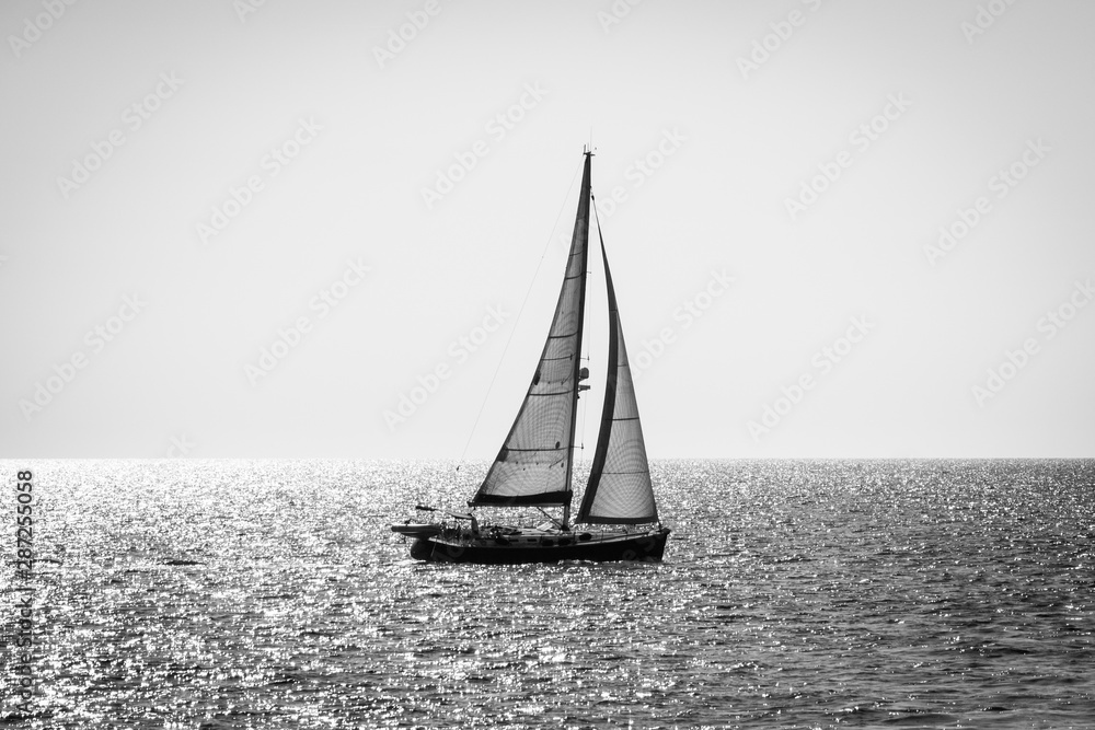 Alone yacht sailing, backlight, black and white