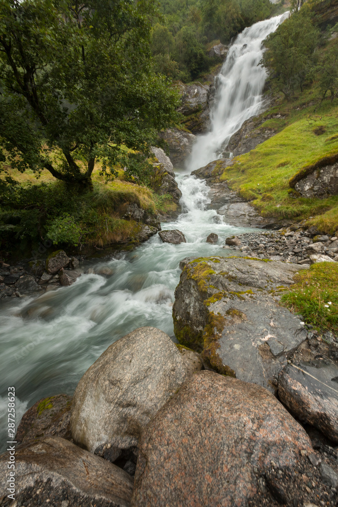 Natural park backgorund, fresh green spring bacground