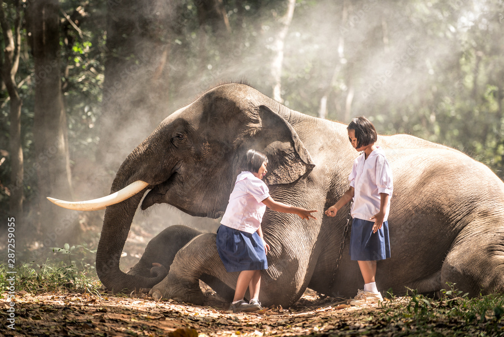 Obraz premium Schoolgirls playing in the jungle with the elephant