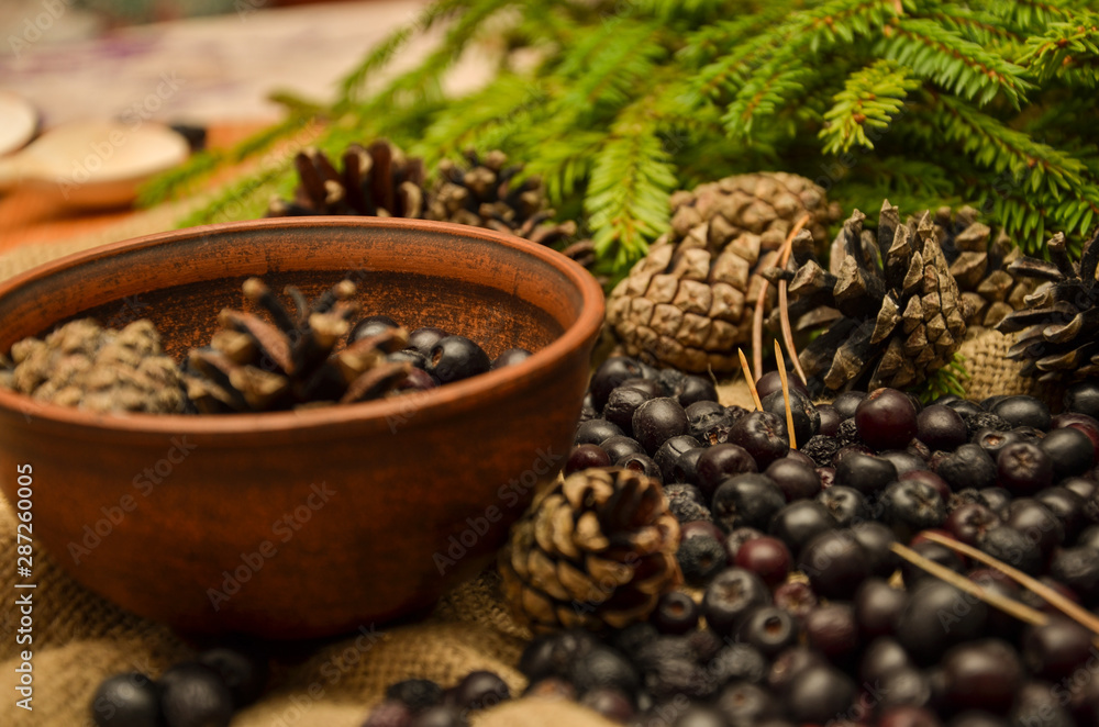 Fototapeta premium Black mountain ash, pine cones and branches on the background of burlap. Preparations for the winter. Gift of nature.