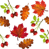 Fall watercolor seamless pattern, berries, maple, oak leves