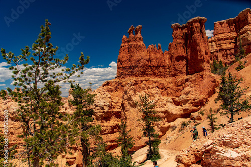 Obraz na plátně Hoodoos Along the Fairyland Loop Trail