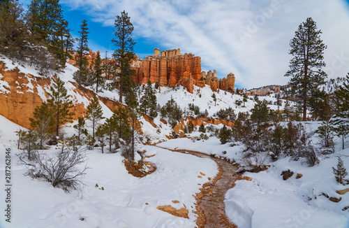 Snow, Trees, and Hoodoos in Water Canyon