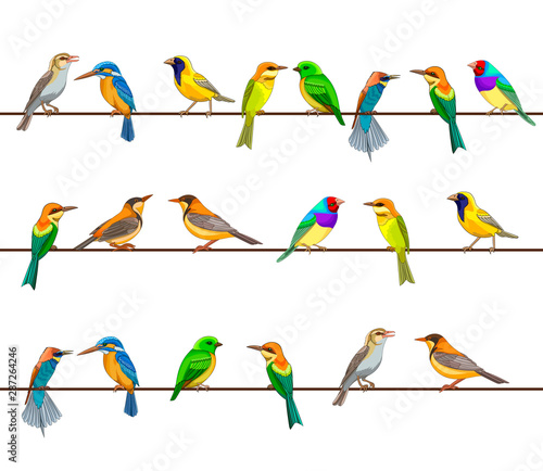 Vector illustration, a many of birds on wires