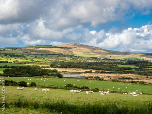 Preseli Hills, Pembrokeshire, Wales.  