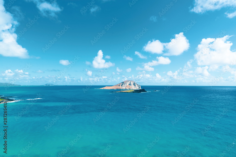 孤島 孤島