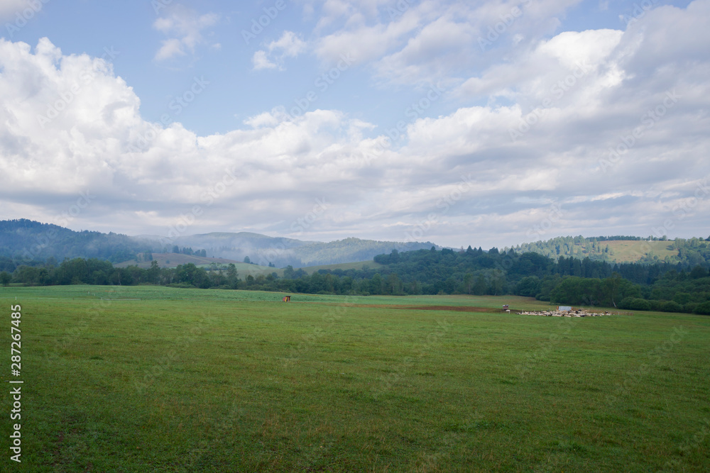 Pastwisko w górach, Bieszczady, okolice Dwernika