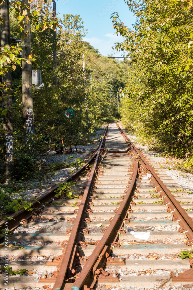Obraz premium abandoned railway intersection in the urban area with both sides filled with trees and green bushes under the sun