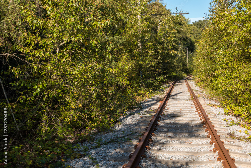 Obraz premium abandoned railway road in the urban area with both sides filled with trees and green bushes under the sun