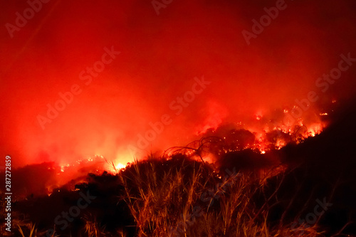 Amazon forest fire disater problem.Fire burns trees in the mountain at night. photo