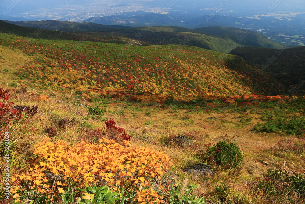 みちのくの秋　安達太良山の紅葉　