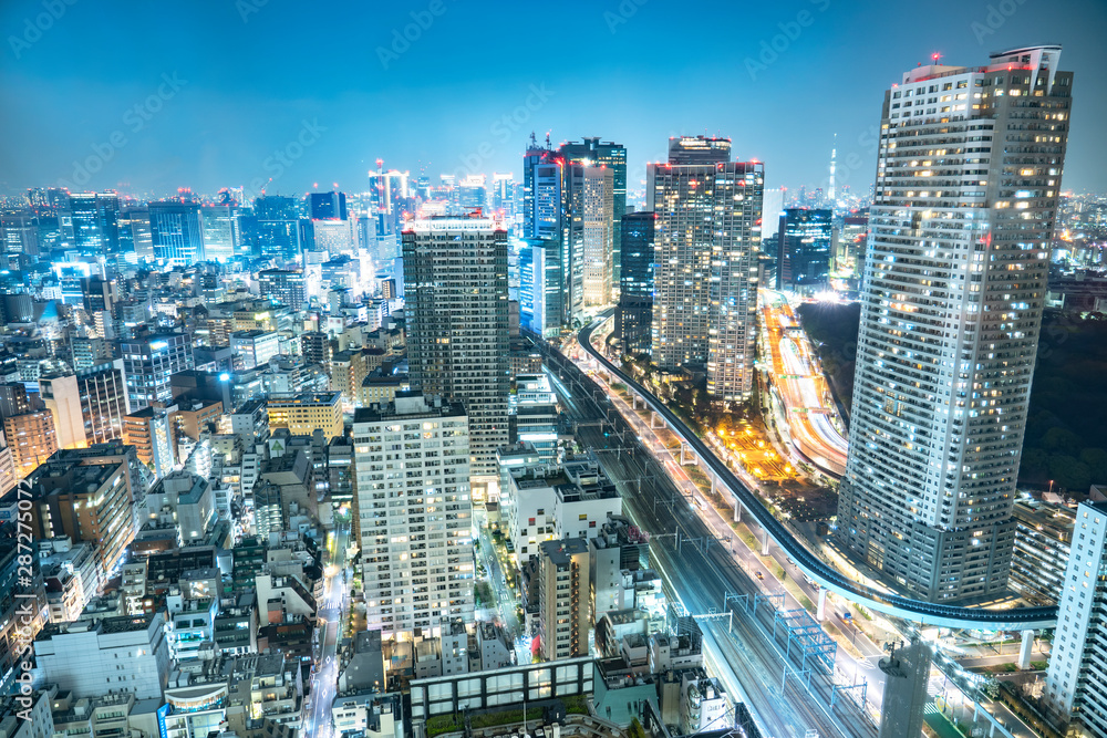 Fototapeta premium 東京 夜景