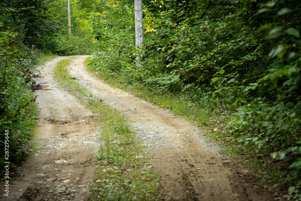 Old Country Road In Maine Old Country Road In Maine