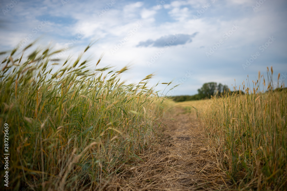 agriculture agriculture
