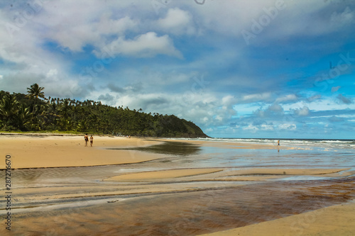The tropical beauty of northeastern Brazil - Itacarezinho Beach - Itacare - BR