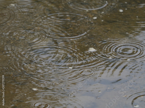 Puddle in rain