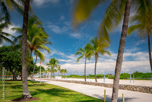 View of Miami Beach in the summer. Long exposure motion blur in palm trees and clouds