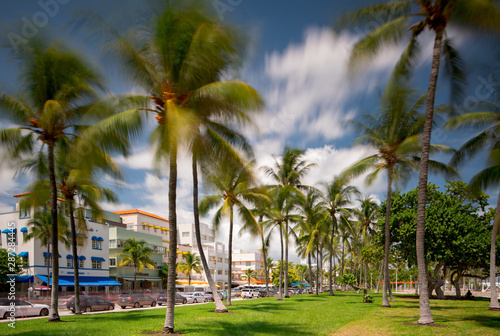 Long exposure photo Miami Beach Florida Ocean Drive and Lummus Park palm trees