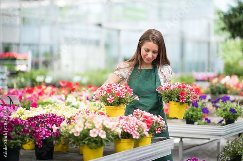 Young worker in a nursery packing out plants