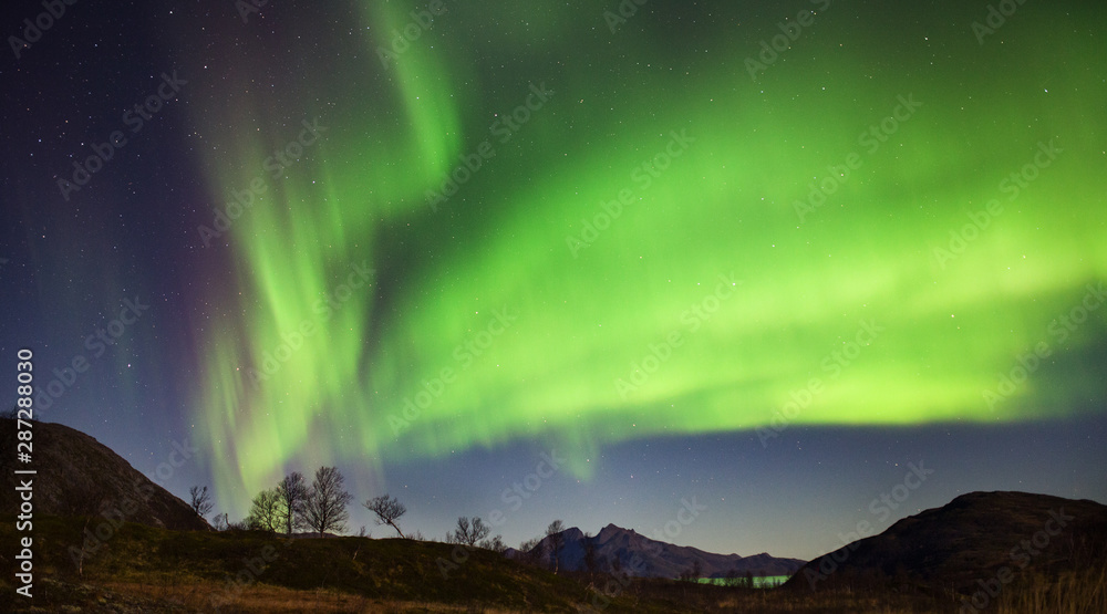 Aurora Borealis / Northern Lights / Nordlys in night sky over fjords in Kvaloya, Arctic Norway