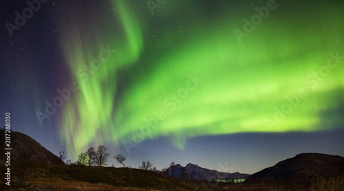 Aurora Borealis   Northern Lights   Nordlys in night sky over fjords in Kvaloya  Arctic Norway