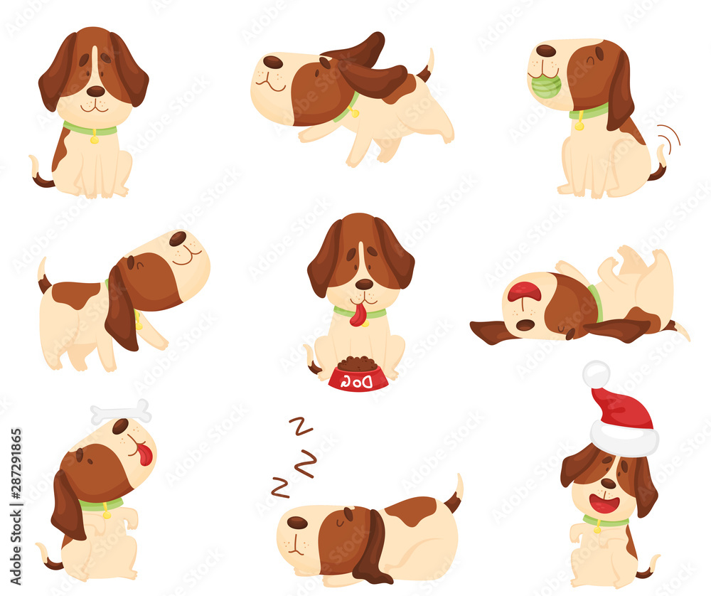 Set of cute puppies. Vector illustration on a white background.