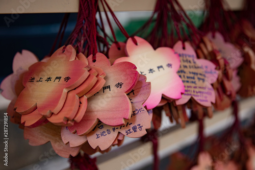 Votive tablets at Ikegami honmonji temple in Tokyo closeup photo