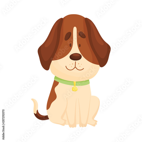 Cute beagle is sitting. Front view. Vector illustration on a white background.