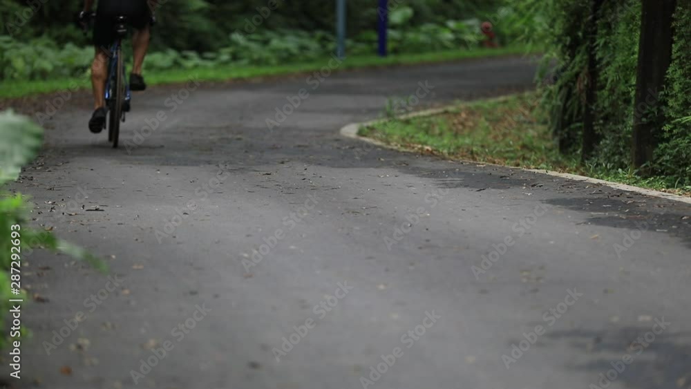 custom made wallpaper toronto digitalLegs of male cyclist riding bike on tropical rainforest trail