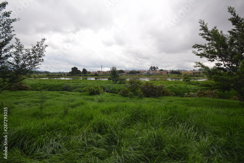 Obraz na płótnie wetlands colombia humedales bogota w salonie