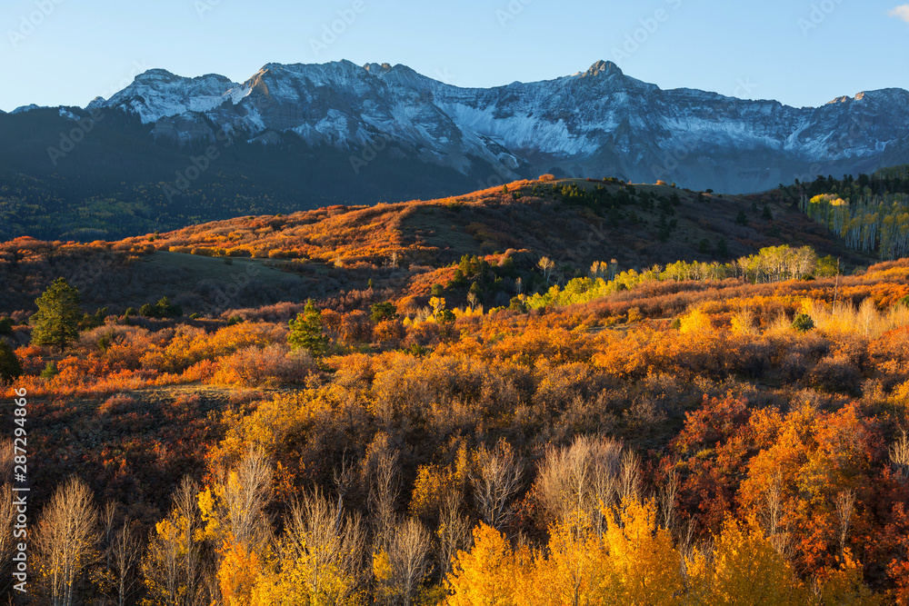 Obraz premium Autumn in Colorado