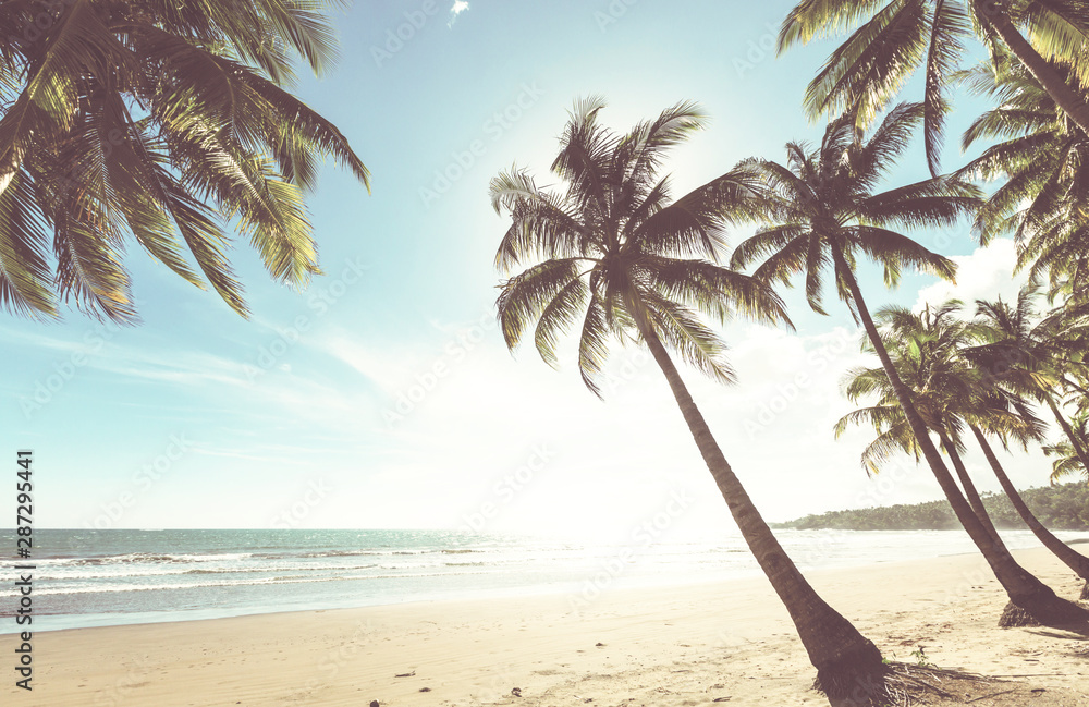 Obraz premium Tropical beach